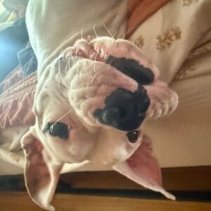 Meet your Posher, Jaret